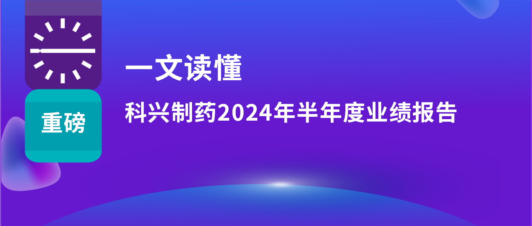 一文读懂 | 上半年营收利润双增长，海外销售同比增长33%